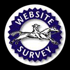 survey icon